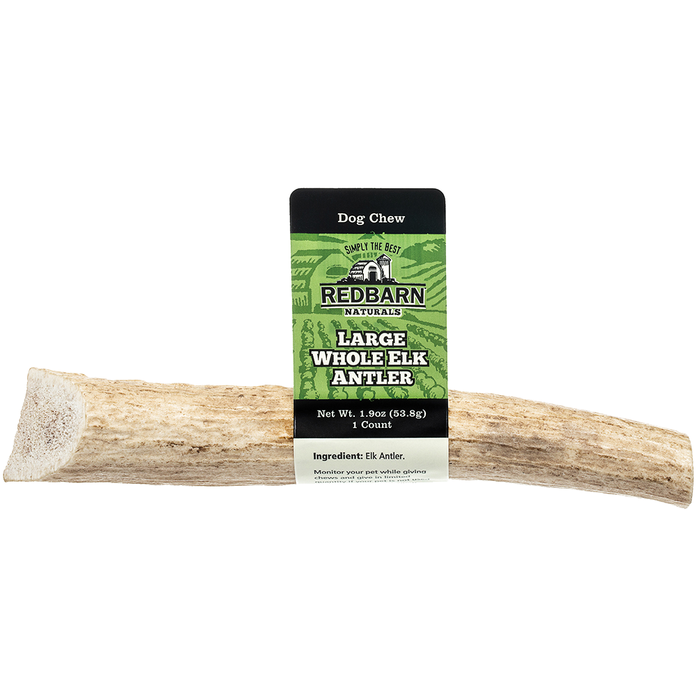 Redbarn Whole Elk Antler