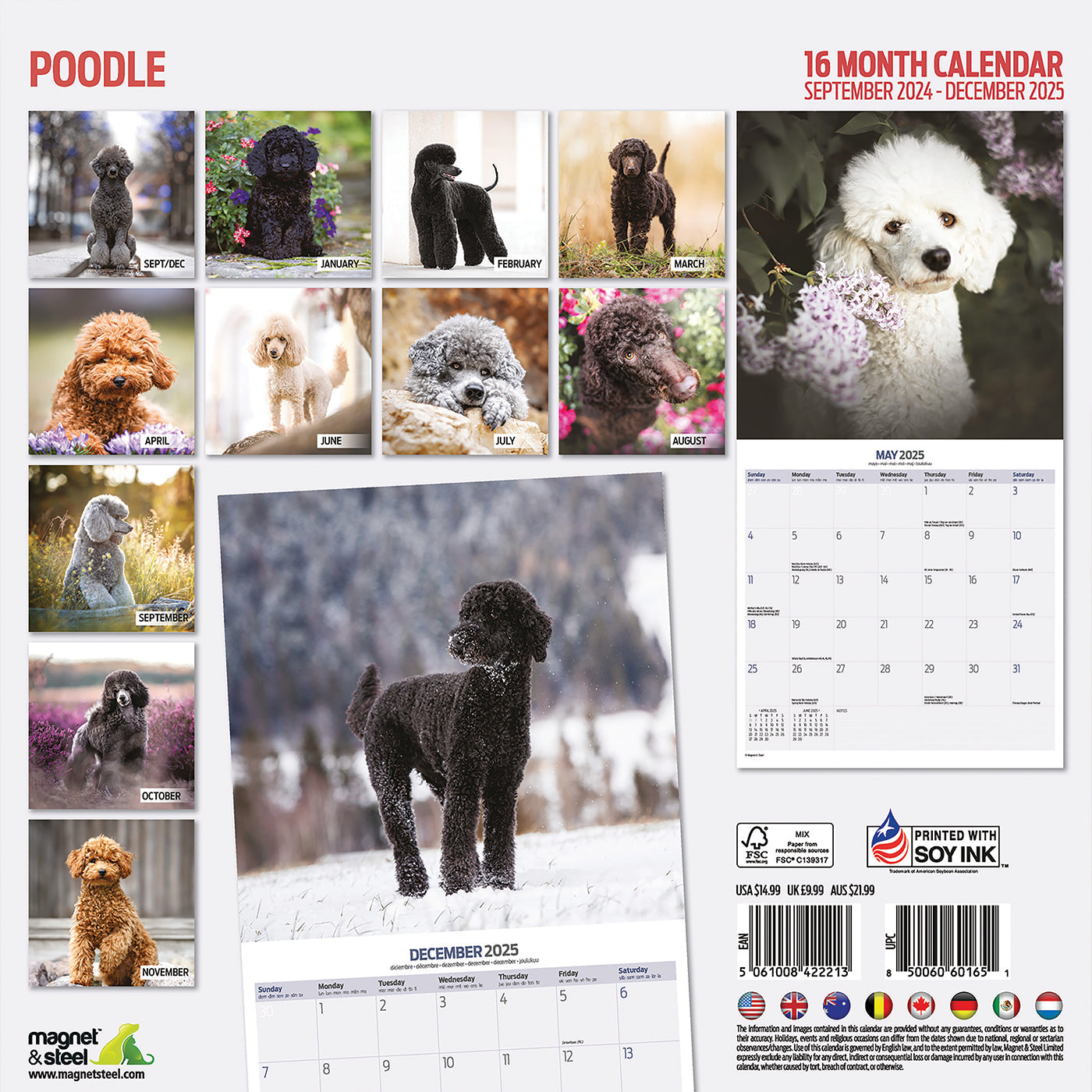Poodle Traditional Calendar 2025