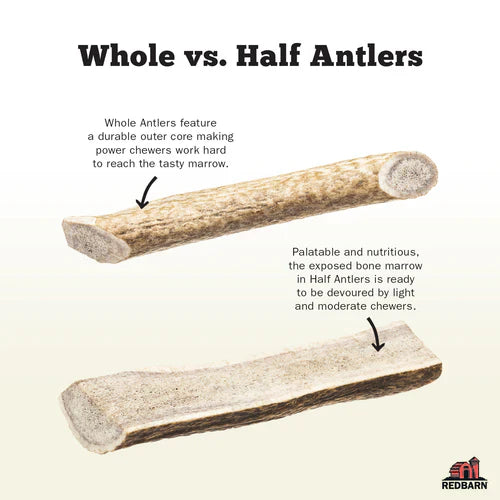 Redbarn Half Deer Antler Treat For Dogs