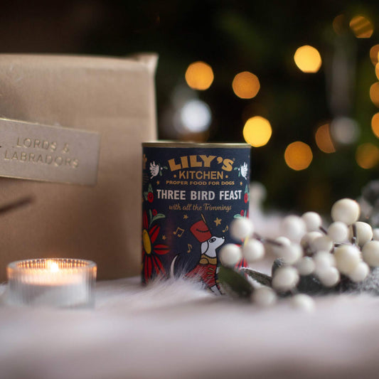Lily's Kitchen Christmas Three Bird Feast for Dogs 400g