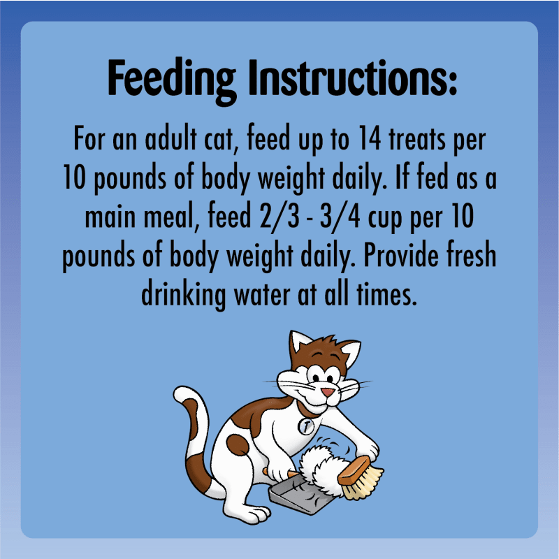 Temptations Indoor Care Cat Treats